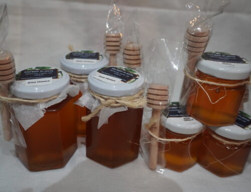 Honey – Raw from Costa Rica