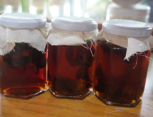 Fermented Organic Garlic Honey