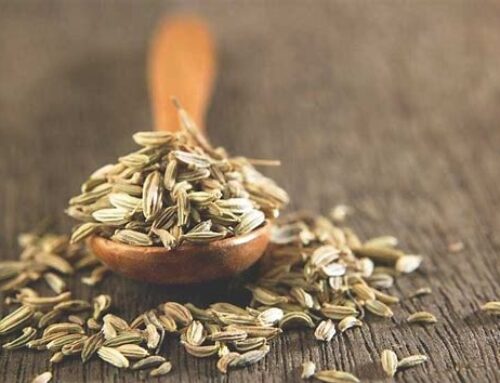 Organic Cumin Seed & Powder